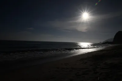 July 2023 - Singles Sycamore Cove